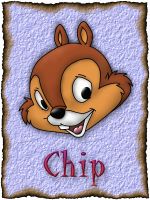 Picture of Chip